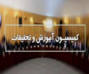 ایرادات طرح ساماندهی کارکنان دولت در کمیسیون اجتماعی چه بود؟