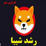 رشد ۸ درصدی شیبا اینو به لطف یک خبر جعلی