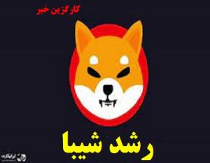 رشد ۸ درصدی شیبا اینو به لطف یک خبر جعلی