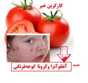 آنفلوآنزا وکرونا گوجه‌فرنگی