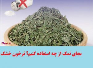بجای نمک از چه استفاده کنیم؟ ترخون خشک