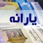 واریزی جدید برای این گروه انجام شد خبر خوش سازمان هدفمندی یارانه‌ه