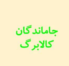 اطلاعیه مهم درباره جاماندگان کالابرگ