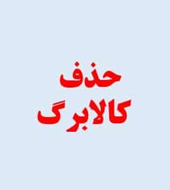 کالابرگ چه کسانی حذف شدند درتیرماه 1405