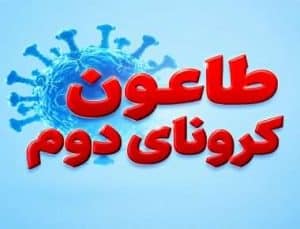 طاعون جدید در روسیه؛ آیا دنیا با «کرونای دوم» روبروست؟|  علائم بیماری واگیردارو راه های پیگشیری طاعون