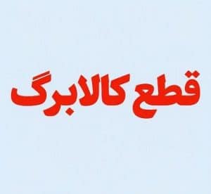 کالابرگ این ۳ دهک قطع می‌شود؟ / آخرین جزئیات حذف دهک‌های ۸ تا ۱۰ و سرنوشت یارانه نقدی + جدول